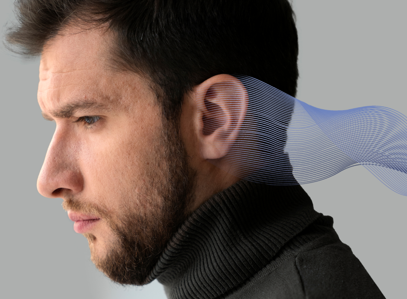 How The Ear Works Amearco